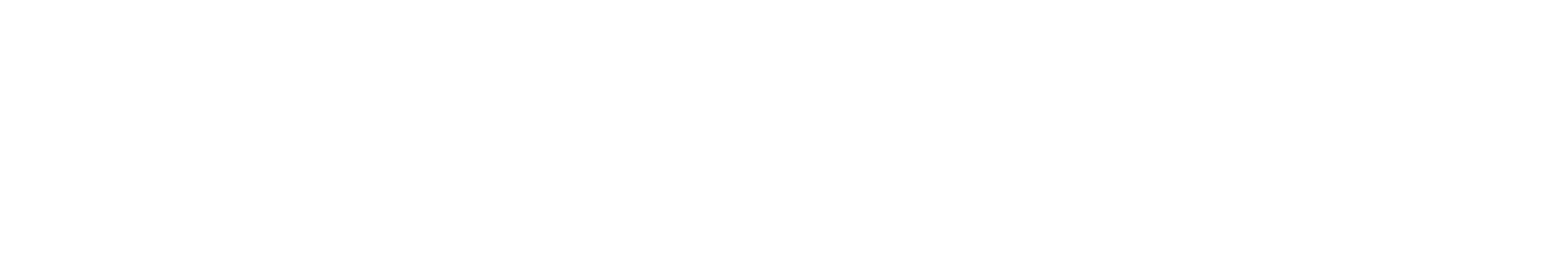 BLU Productions